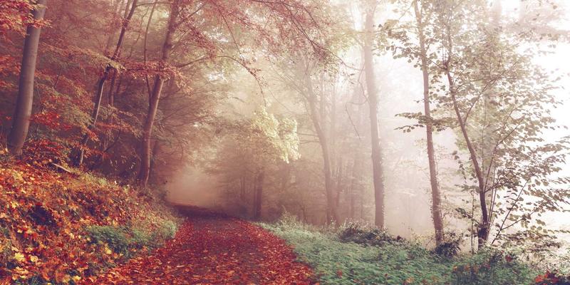 E盒之家：基于Matter协议的智能家居解决方案如何打破品牌壁垒，实现无缝互联