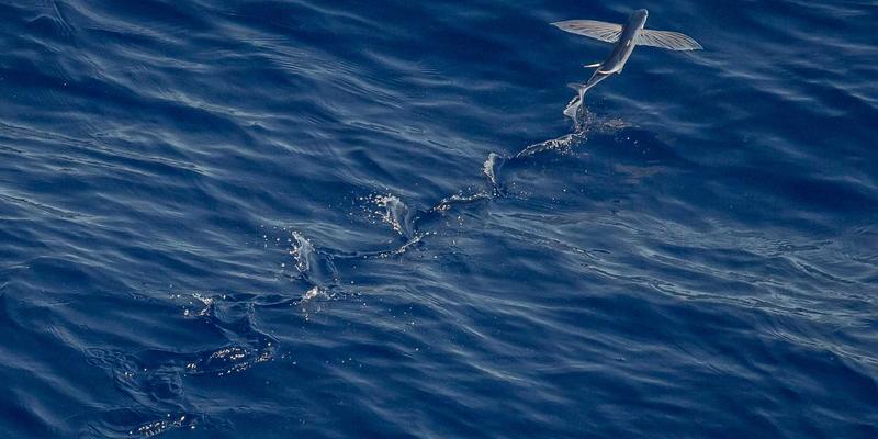 E盒之家：智能家居与智能安防如何重塑未来安全生活