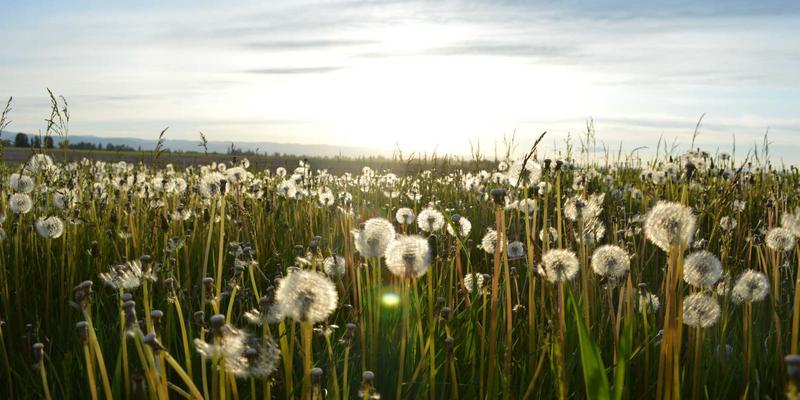 从零开始搭建智能家居：新手必备的硬件清单与设置步骤，开启智慧生活