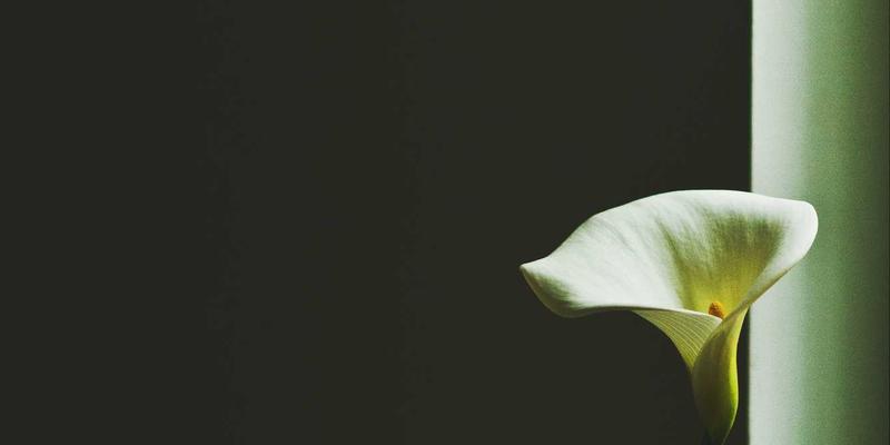 智能家居2023:从智能单品到全屋系统,智能安防如何重塑安全与便捷生活