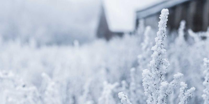 智能家居57:解锁未来智慧生活的三大核心系统