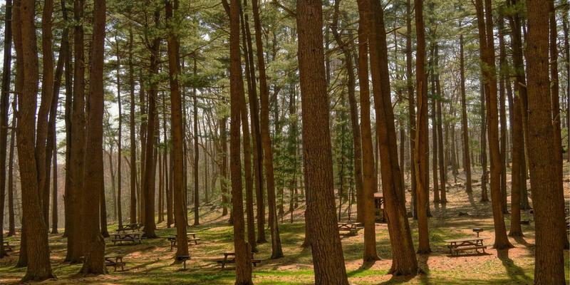 智能家居77:智能照明、安防与智慧生活的未来交响曲
