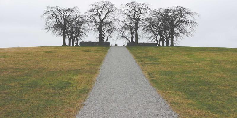 智能家居79：揭秘E盒之家如何重塑未来智慧生活