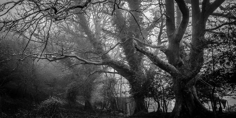 智能家居解决方案：以智能照明为起点，开启智慧生活新篇章