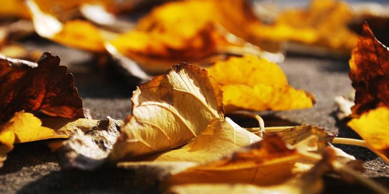 智能晾衣架选购与智能联动指南：天气感知、语音控制与自动升降，打造E盒之家智能安防新体验